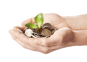 Two hands holding coins with a growing sprout in the middle.