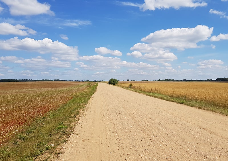 Bicycle road with beautiful rganic agriculture landscape.